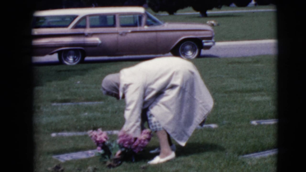 Woman bends over a grave marker placing pink flowers on a cemetery lawn.
