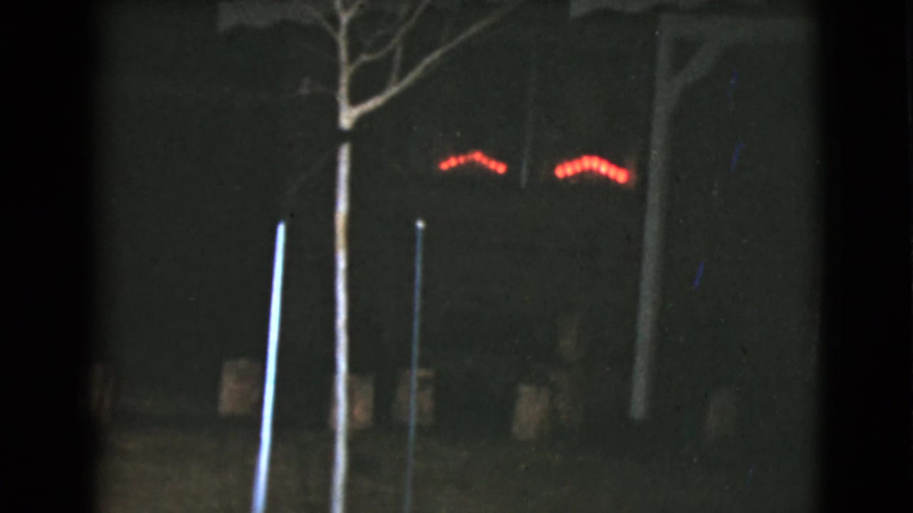 Dark nighttime street view with tree trunks, posts, and two small red illuminated shapes in the background.
