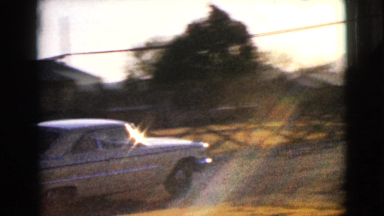 Pale sedan driving past trees and roadside brush in warm low sunlight.