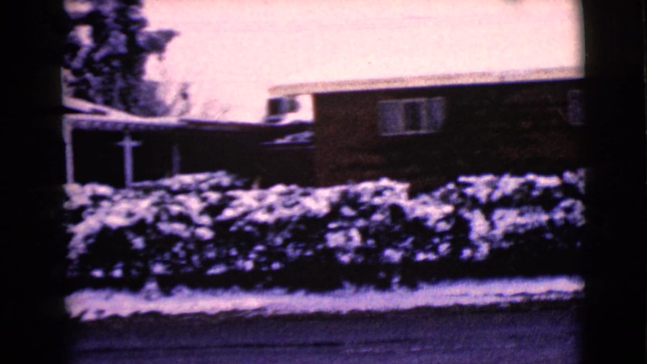 1968 8mm view in Clarksdale, Arizona, showing snow-covered bushes in front of a low residential building under a pale sky.