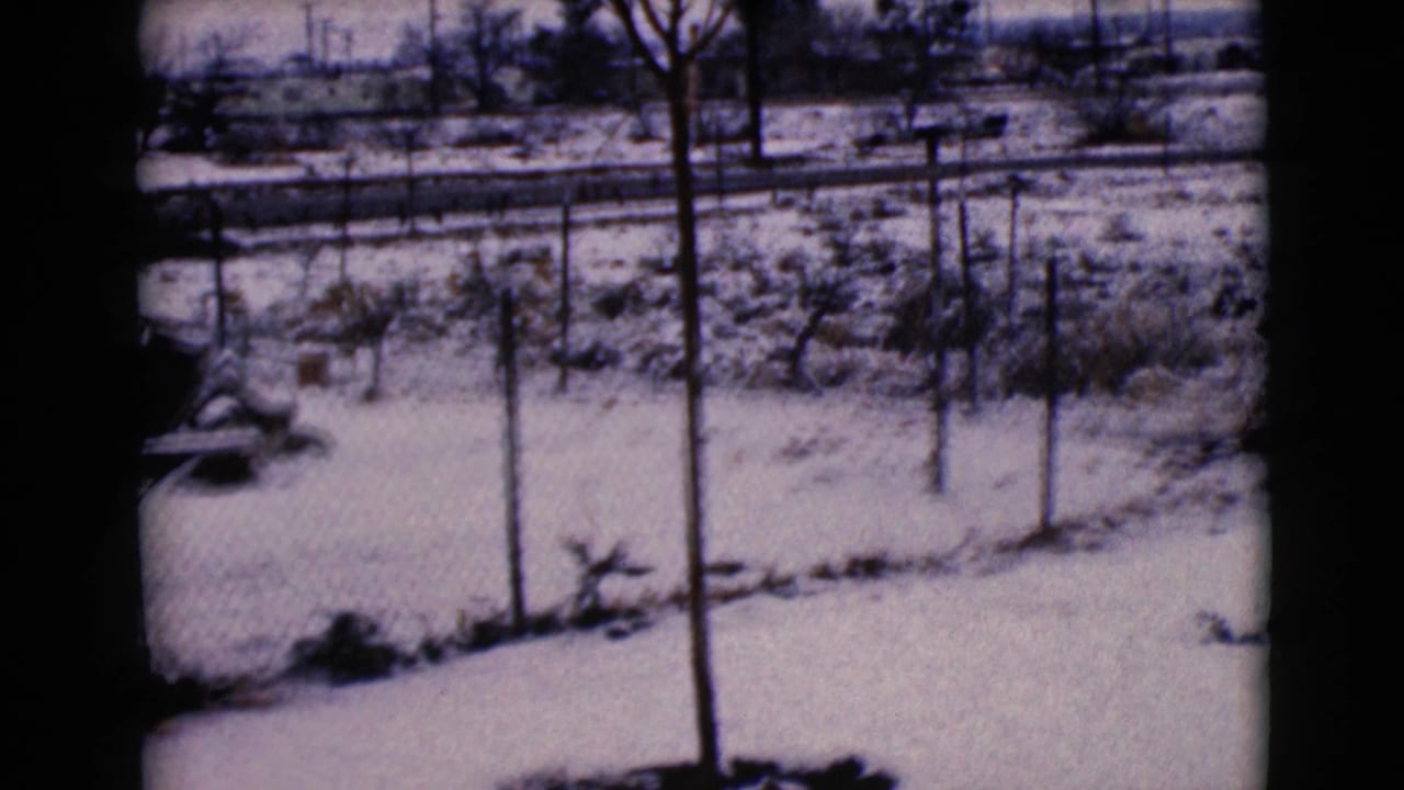 Snow-covered Clarksdale, Arizona residential edge with fence posts, bare trees, utility poles, and distant houses under an overcast sky.