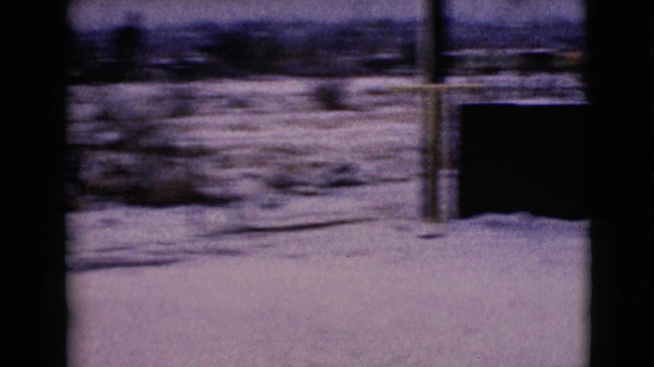 Blurred snowy field with utility pole, dark foreground edge, distant shrubs, and open sky.