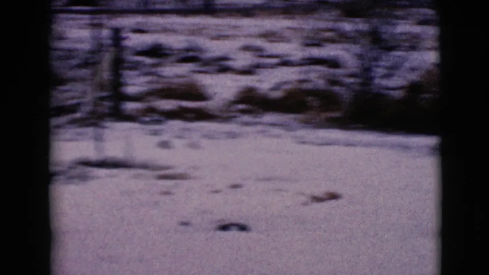 A brief 1968 Clarksdale, Arizona winter view with snow-covered ground, fence posts, brush, and low dark shapes beyond the field.