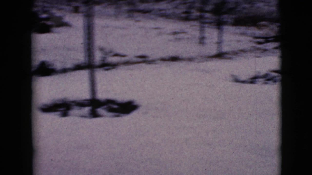 Close view of snow-covered ground with dark tree shadows and soft 8mm grain.