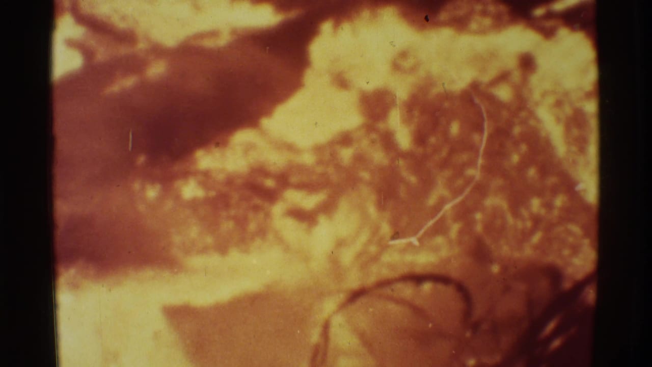 1971 Mauna Ulu 8mm view of orange volcanic light behind branches, with warm exposure and visible film wear.