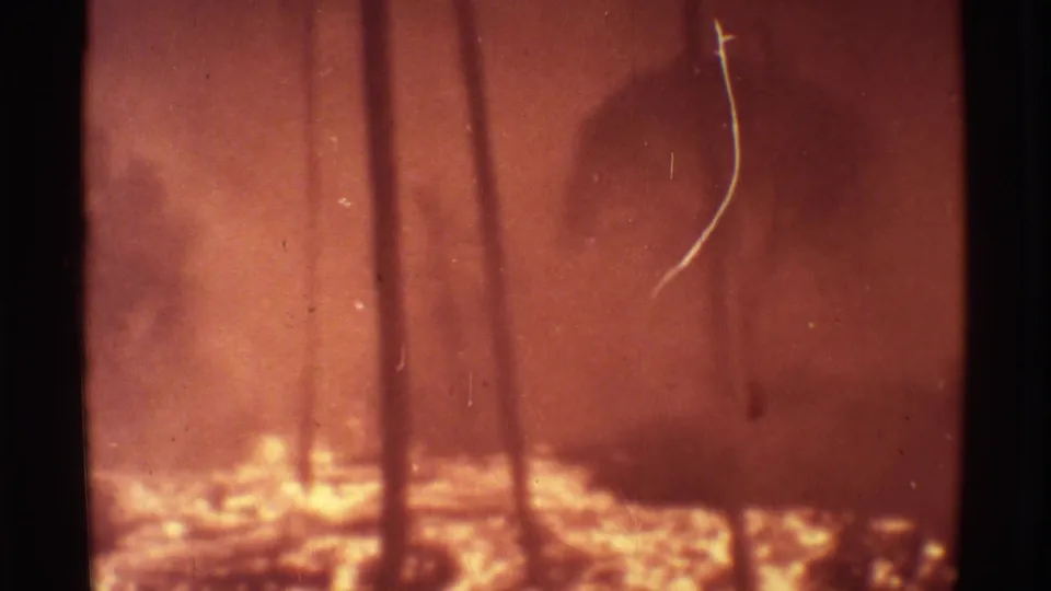 1971 Mauna Ulu 8mm frame with tree trunks, intense orange lava light, smoky haze, grain, and a long scratch mark.