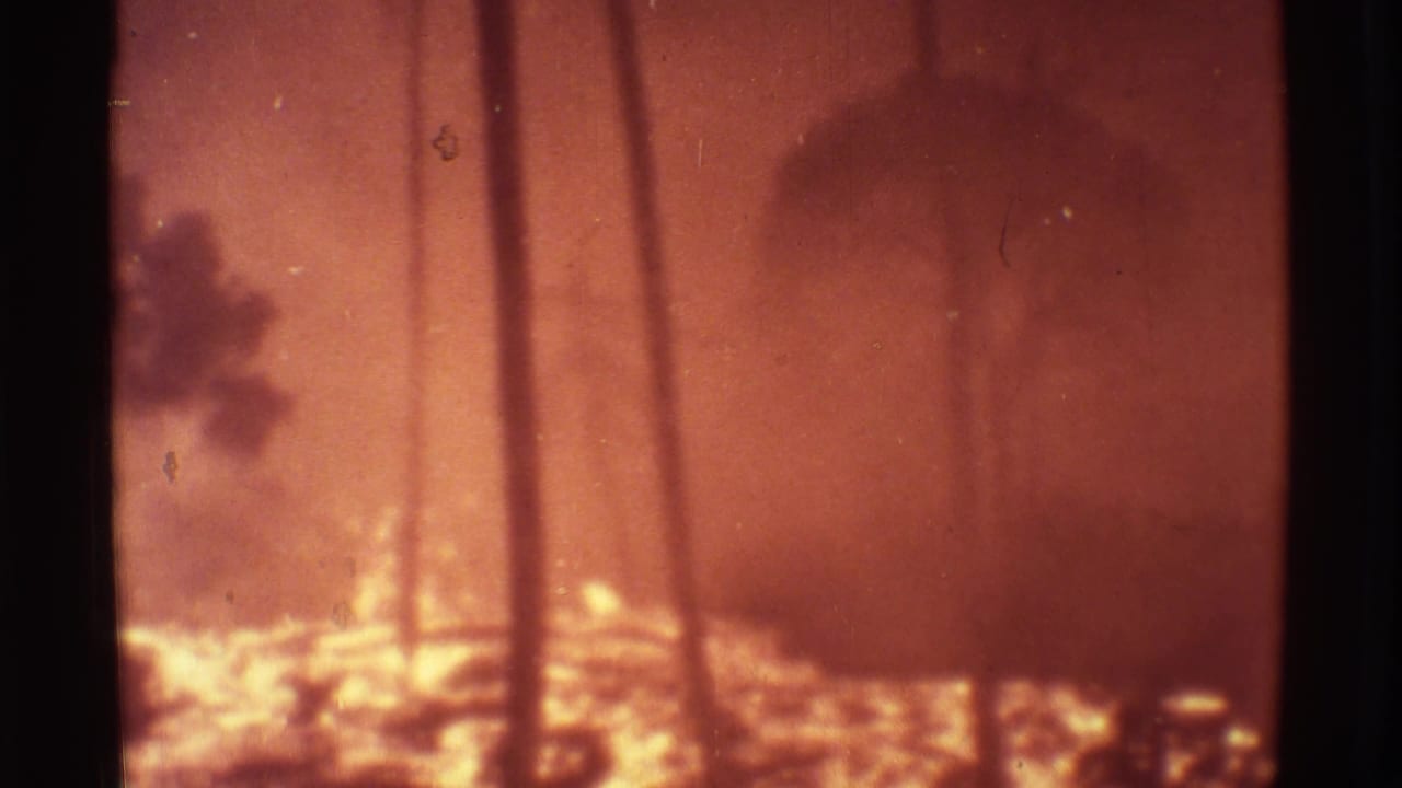 Hazy volcanic glow with palm silhouettes and bright lava near the ground.