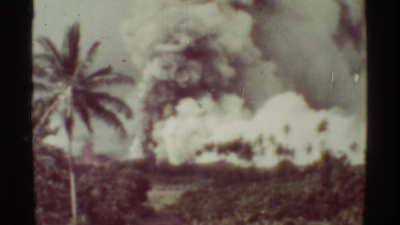 Palm tree and distant volcanic smoke across a tropical landscape.
