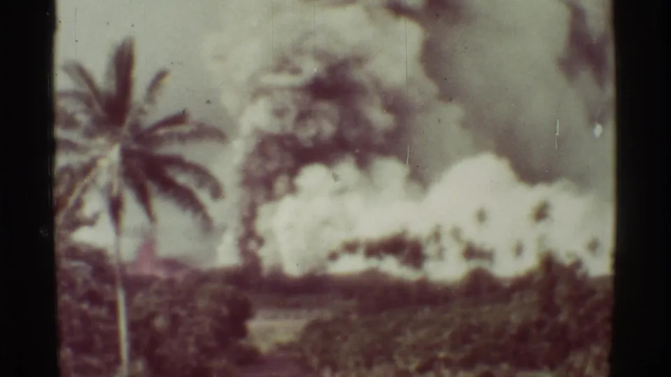 1971 Mauna Ulu view with a palm tree in the foreground and smoke from volcanic activity beyond low vegetation.