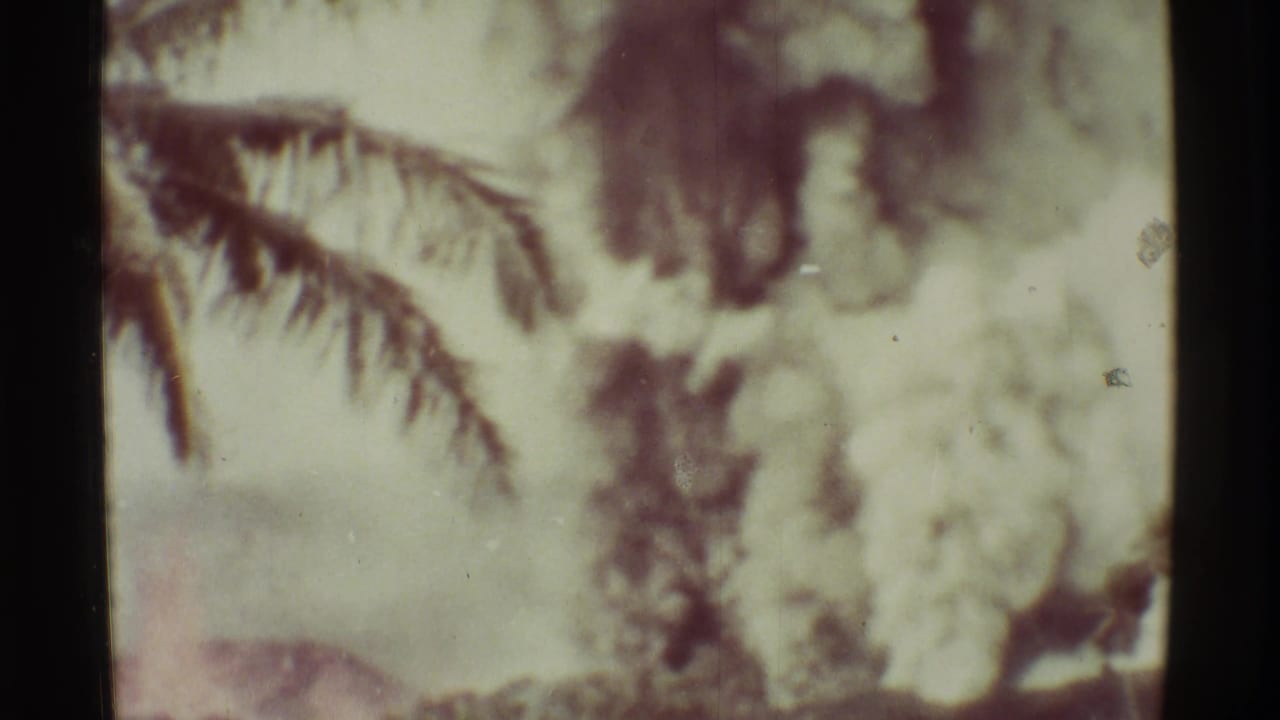 Palm fronds and blurred smoky foliage framed by dark 8mm film borders.