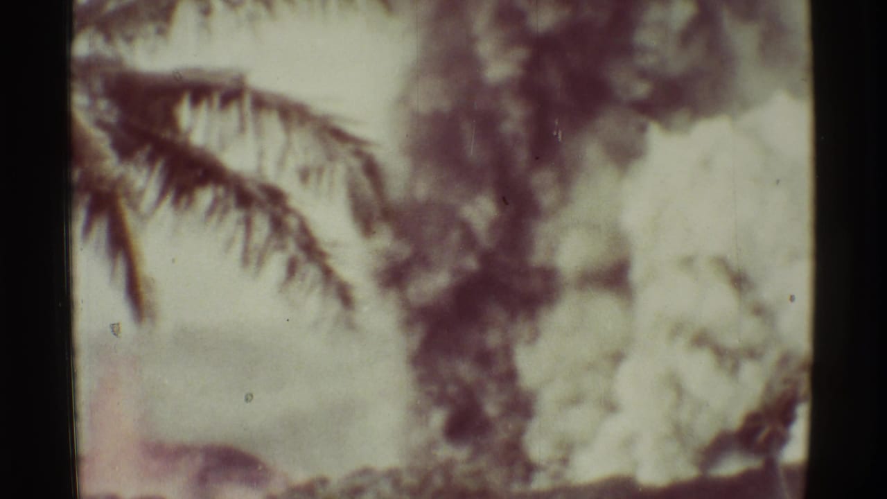 Soft-focus palm fronds and pale haze over tropical vegetation.