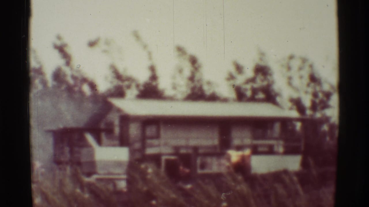 The same low structure appears behind trees, with a dark vertical film edge through the contact frame.