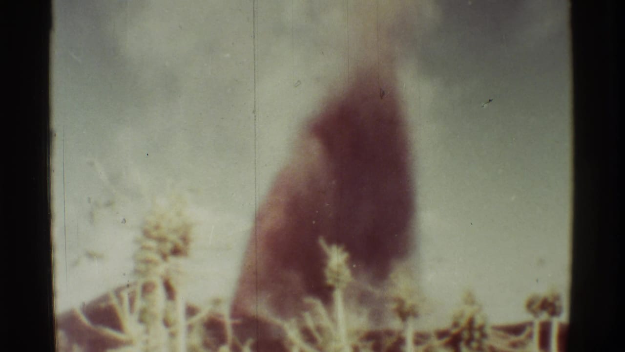 Blurred dark smoke plume appears behind dry plant stems and pale sky.
