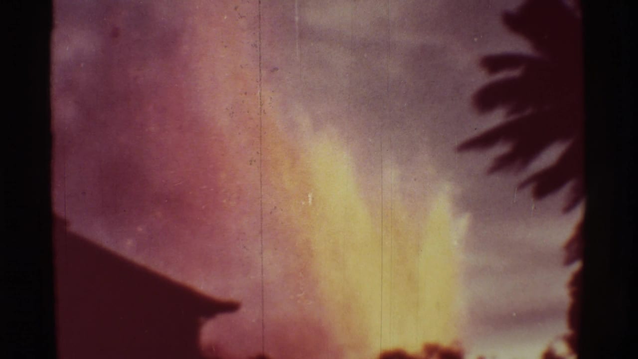 Lava plume glows in the distance beside dark tree and leaf silhouettes.