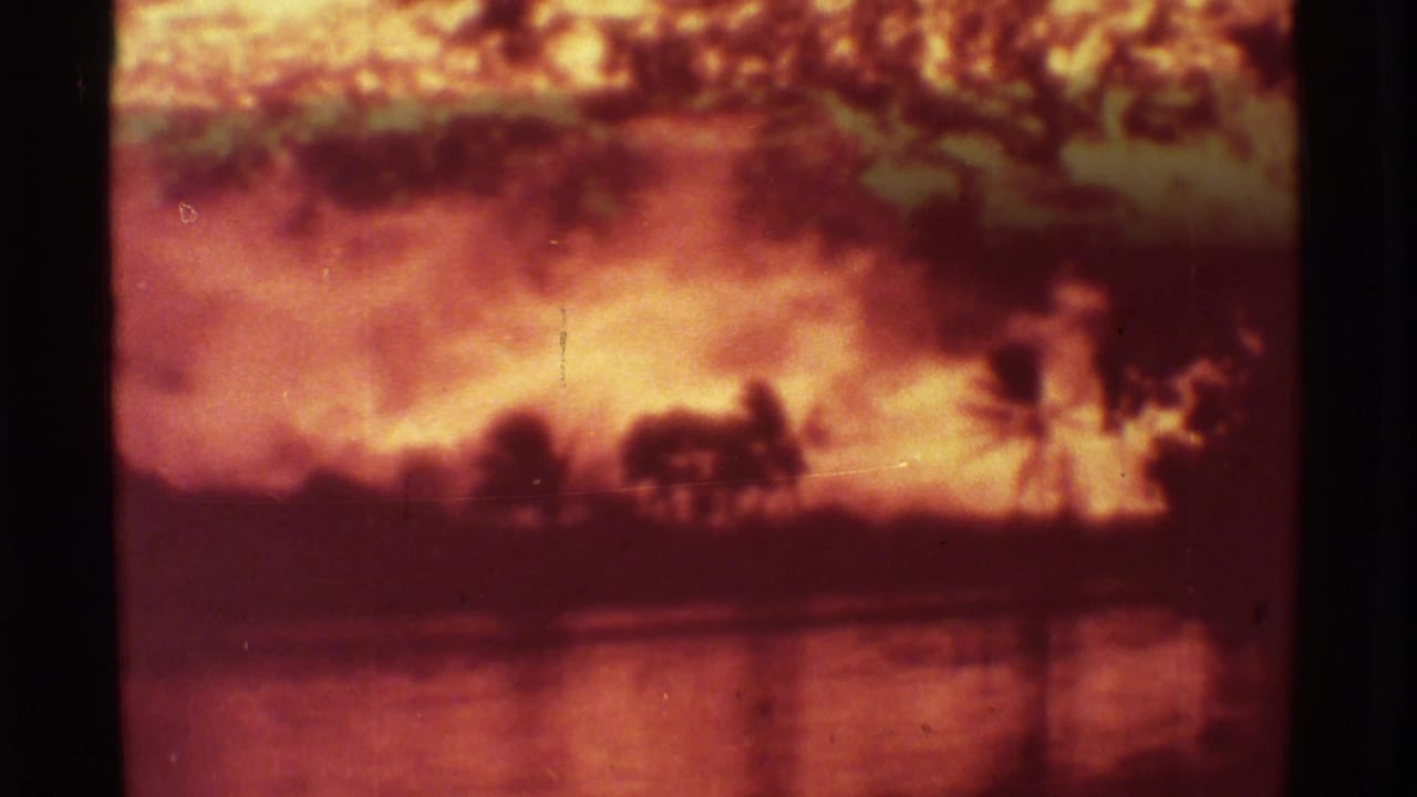 Distant lava fire and smoke with palm tree silhouettes near a reflective surface.