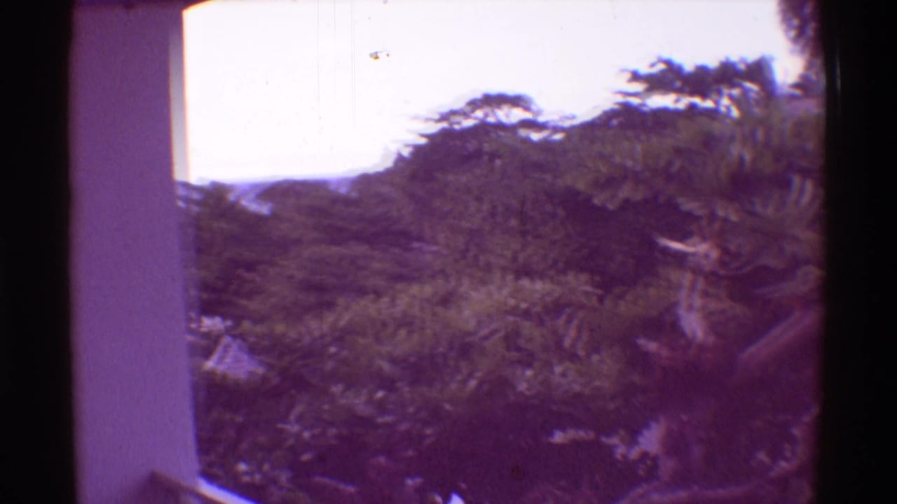 1971 Mauna Ulu, Hawaii frame with a white balcony pillar, dense tropical trees, ocean light, and a partially visible person at the right edge.