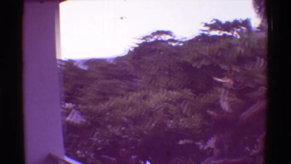 1971 Mauna Ulu, Hawaii frame with a white balcony pillar, dense tropical trees, ocean light, and a partially visible person at the right edge.
