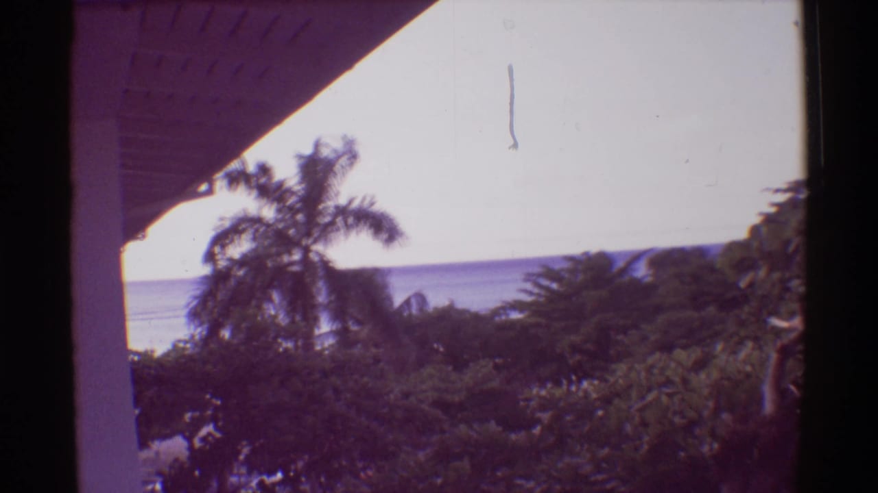 Palm tree and dense foliage beneath a porch overhang with water on the horizon.