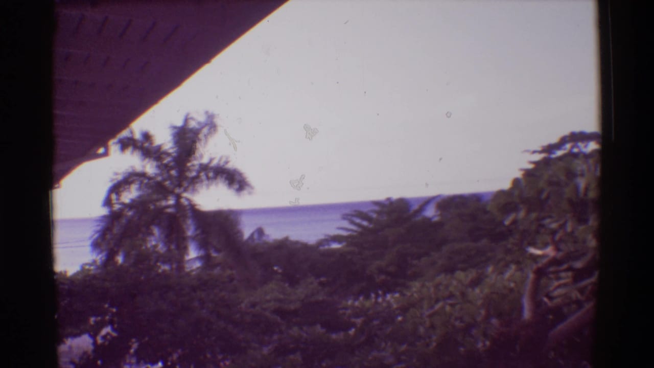 1971 Hawaii home-movie frame with a palm tree, layered tropical vegetation, and a pale water horizon seen from a shaded structure.