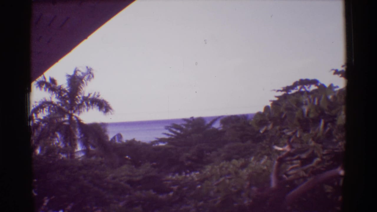 A 1971 8mm Hawaii frame shows dense greenery, a palm tree, bright sky, and distant water from a porch-like vantage point.