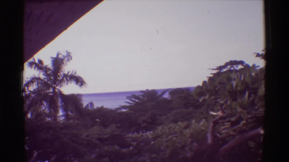 A 1971 8mm Hawaii frame shows dense greenery, a palm tree, bright sky, and distant water from a porch-like vantage point.