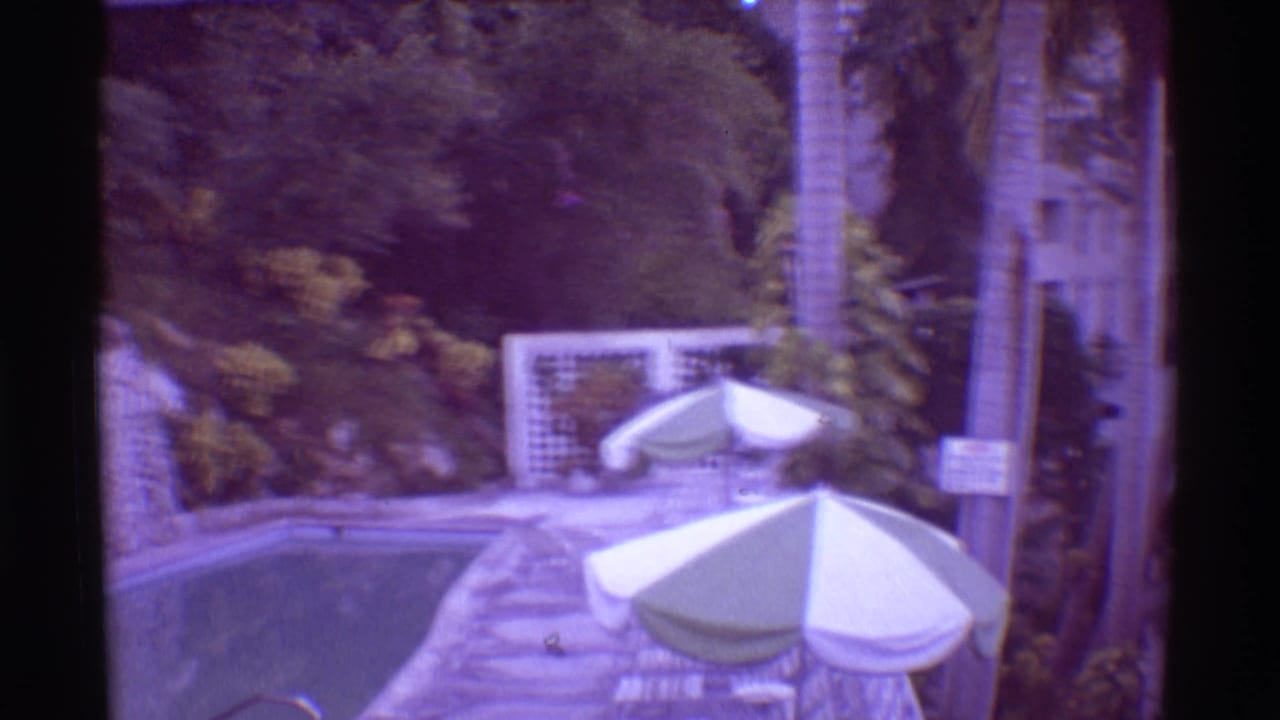 Pool terrace with umbrellas, palm trees, foliage, and a small sign near the walkway.