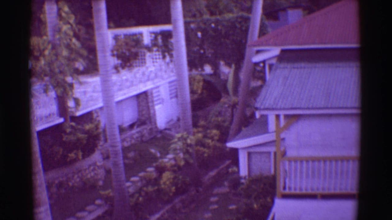 Purple-tinted resort buildings with balcony railings, palm trunks, and landscaped garden paths.
