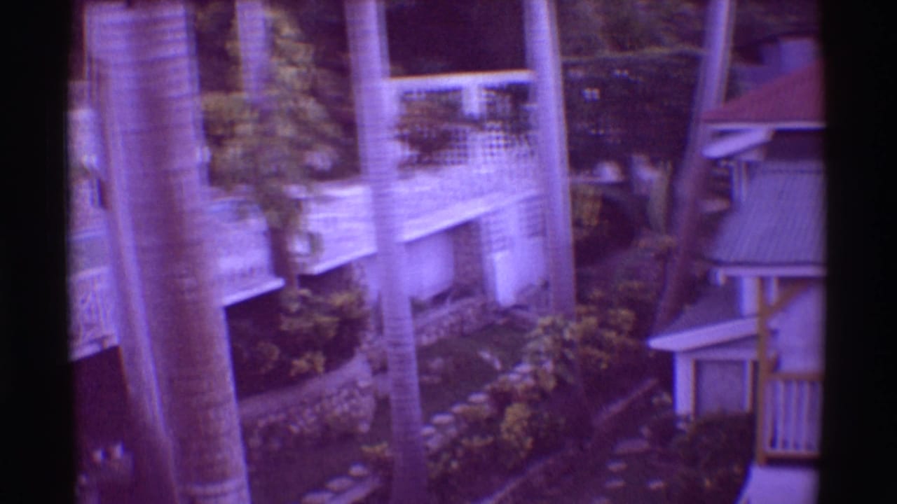 Palm trunk in front of resort balconies, rooflines, stone walls, and tropical planting.