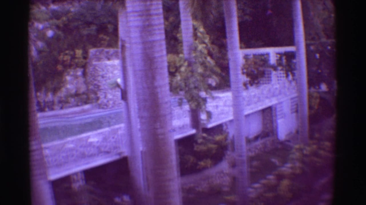 1971 Hawaii resort view with white balcony railings, tall palms, stone walls, and a partial poolside area below.