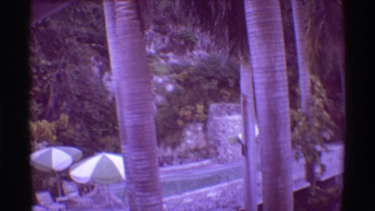 Palm trees, white patio umbrellas, stonework, and dense tropical greenery near a resort pool area.
