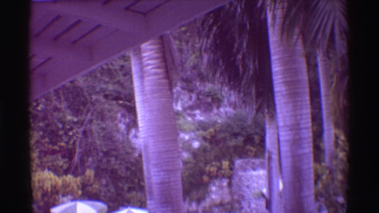 Mauna Ulu resort landscaping in 1971, with palms, a white umbrella, dense plants, and stonework captured on handheld 8mm.