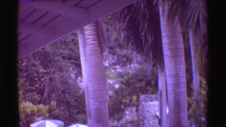 Mauna Ulu resort landscaping in 1971, with palms, a white umbrella, dense plants, and stonework captured on handheld 8mm.
