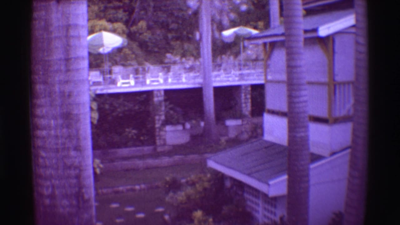 Palm trunks frame a resort deck with white umbrellas, lounge chairs, foliage, and a small building.