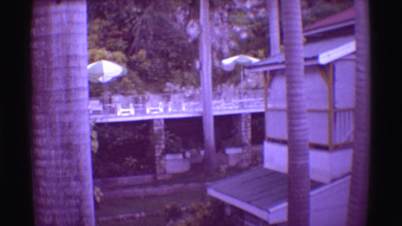 A resort balcony and deck sit among palm trunks, white umbrellas, foliage, and rocky ground.