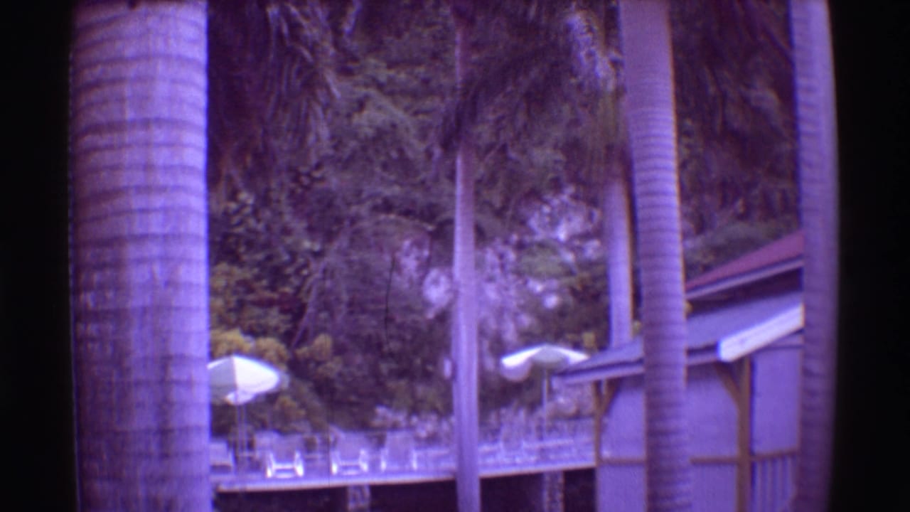 1971 Mauna Ulu, Hawaii resort exterior with palm trunks, white umbrellas, deck railings, lounge chairs, and shaded landscaping.