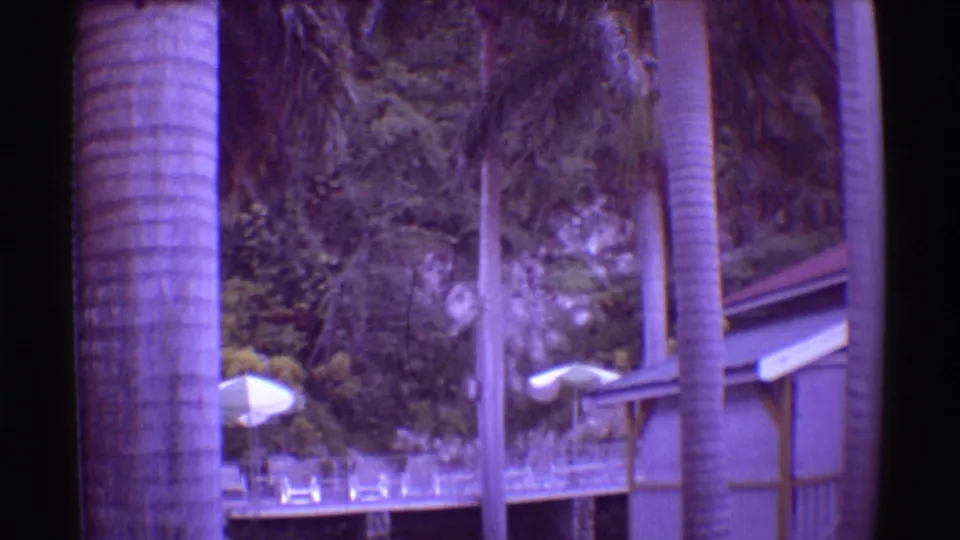 1971 Mauna Ulu, Hawaii resort exterior with palm trunks, white umbrellas, deck railings, lounge chairs, and shaded landscaping.