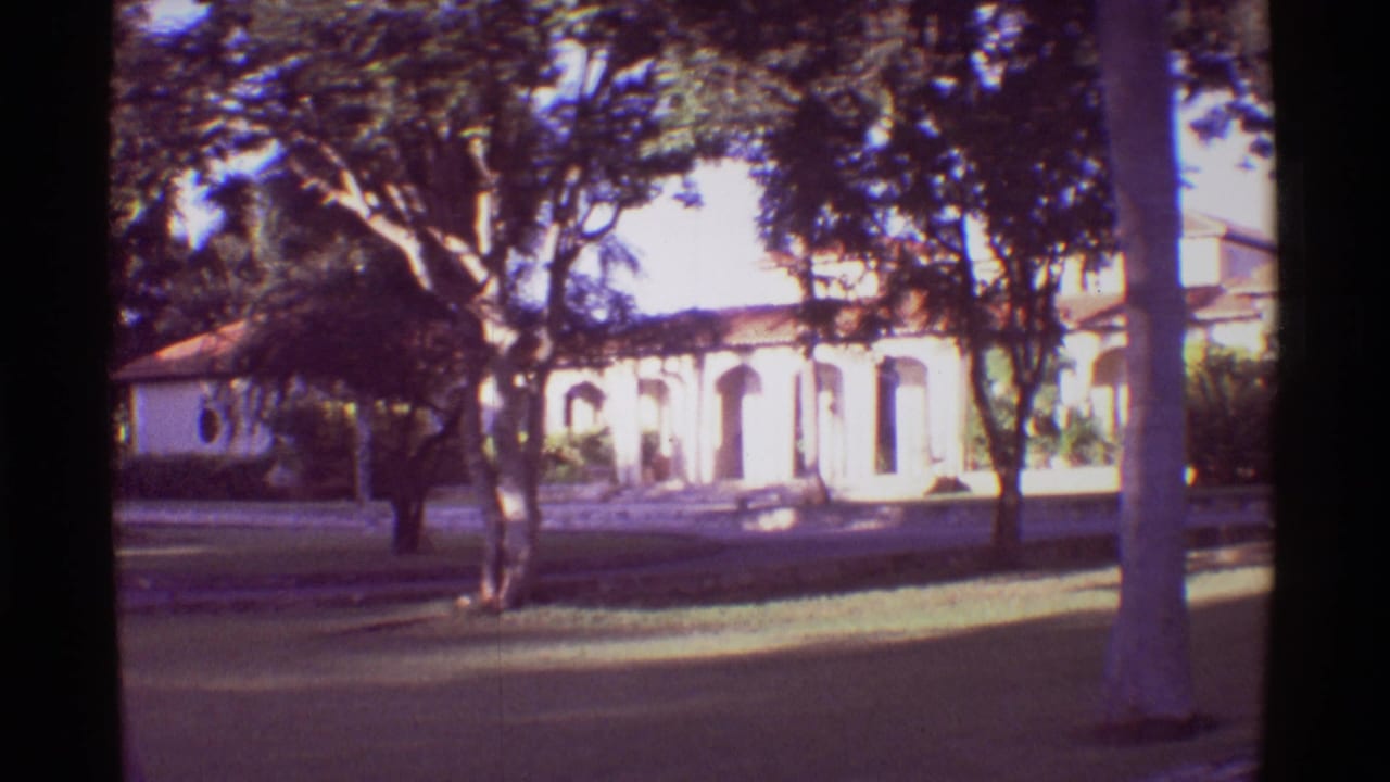 White arched building behind trees and lawn in bright sunlight.