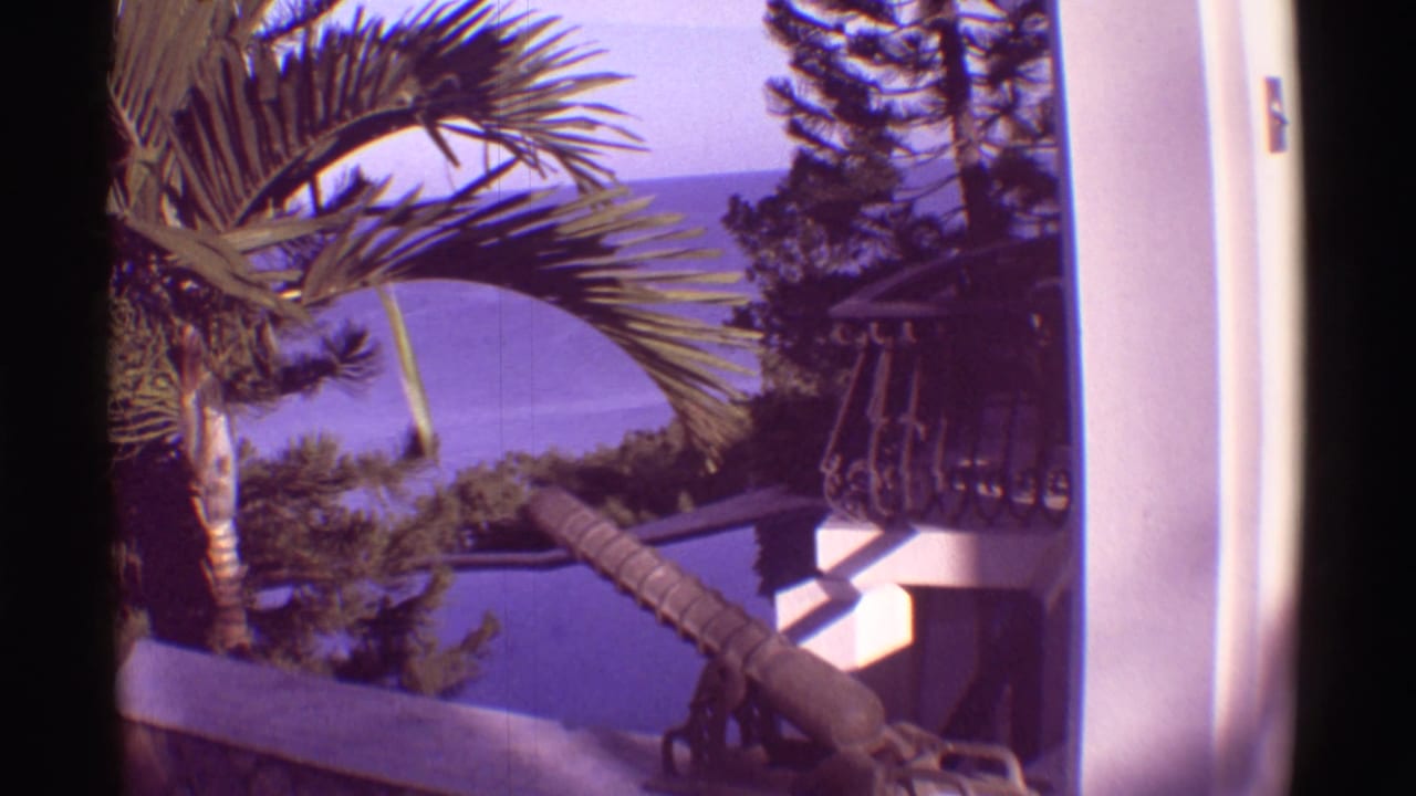 Hotel balcony view with palm fronds, railing, ocean water, and a decorative cannon-like object.