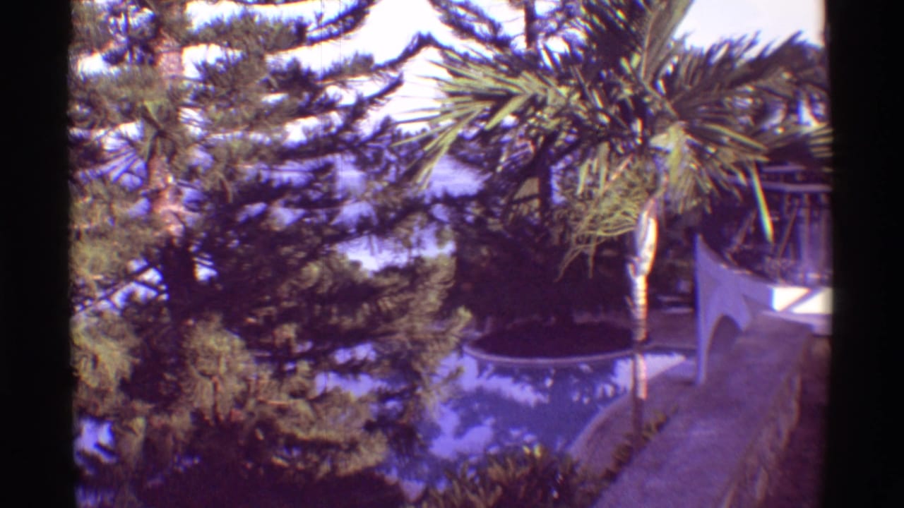Dense tropical trees and palm fronds partly obscure blue ocean beyond white resort architecture.