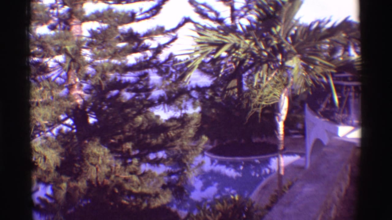1971 Hawaii home-movie frame of resort landscaping, with palm fronds and evergreens overlooking the ocean.