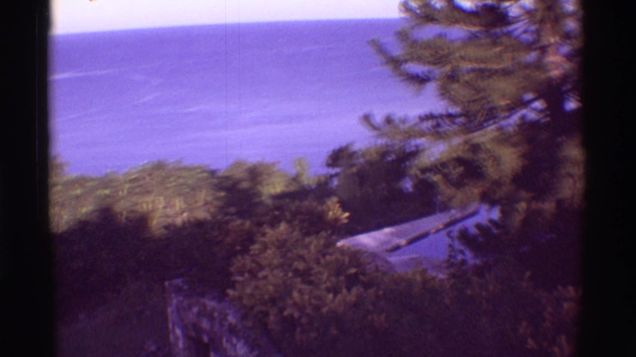 Ocean horizon, trees, shrubs, and a pale roof or paved edge appear beyond a dark film divider.