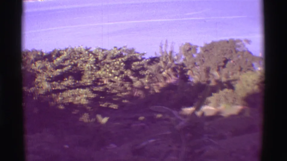 Soft, purple-shifted 1971 8mm view across Mauna Ulu hillside vegetation toward a bright coastal sky.