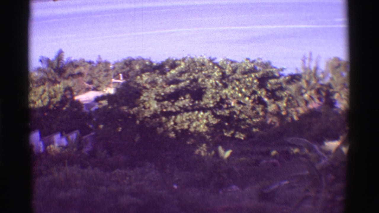 1971 8mm Mauna Ulu, Hawaii frame with tropical foliage and a small pale structure partly hidden among trees.