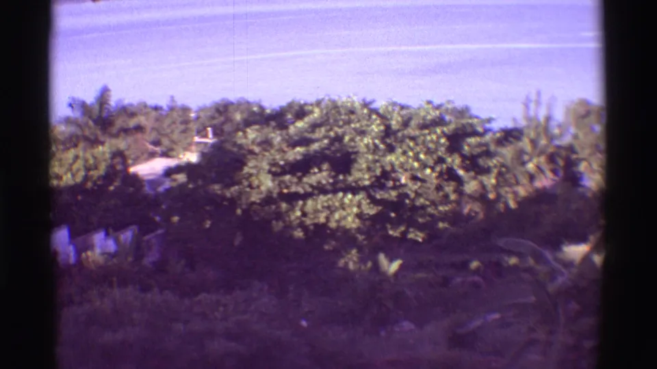 1971 8mm Mauna Ulu, Hawaii frame with tropical foliage and a small pale structure partly hidden among trees.