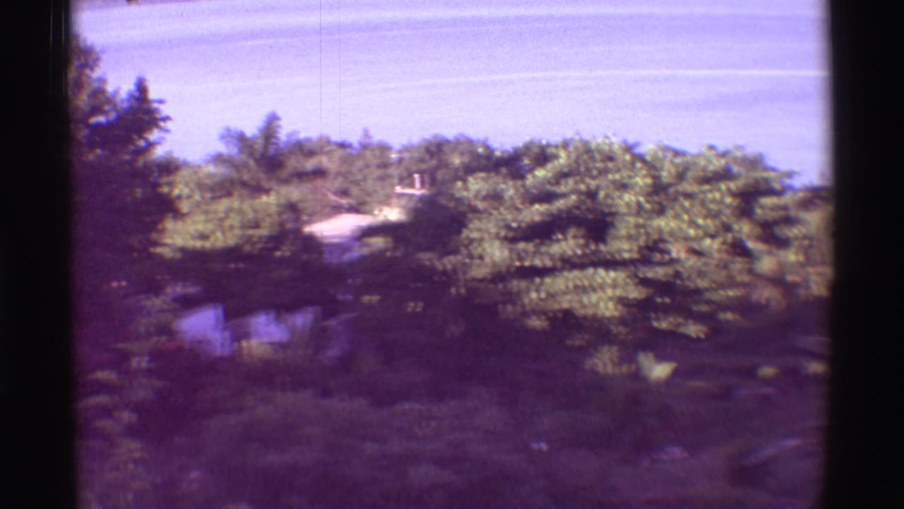 Tropical trees and foliage below a blue coastal horizon, seen through dark film-frame edges.