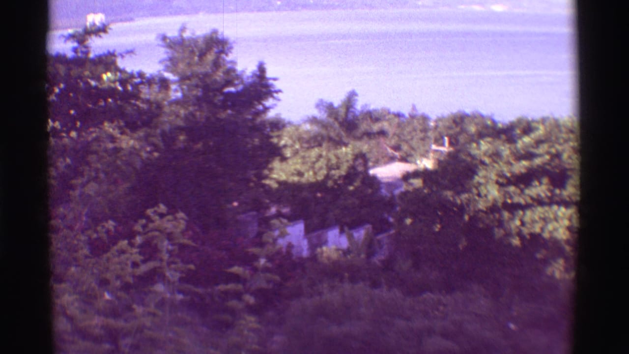 Dense trees and a partial light structure in front of blue water and sky.
