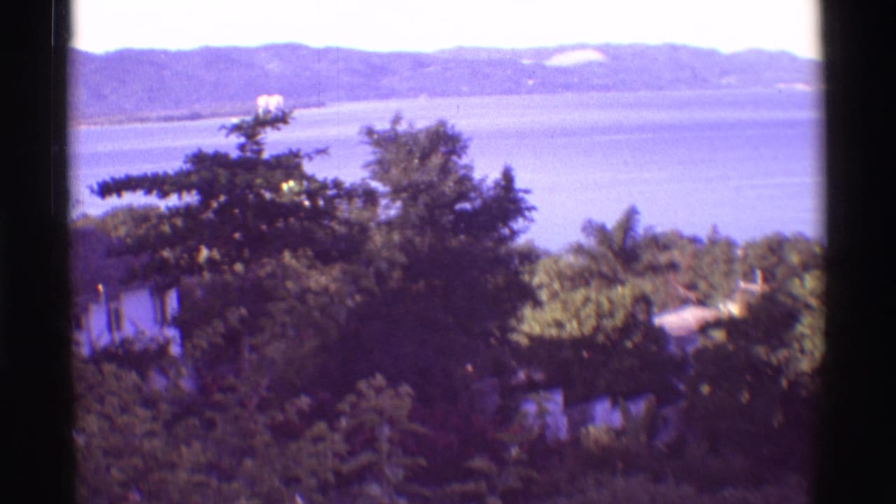 1971 Hawaii 8mm frame showing foliage in the foreground, calm coastal water, and distant mountain ridges.