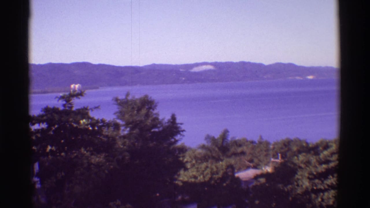 Elevated 1971 Hawaii coastal view with blue water, mountain ridge, tropical trees, and a small roof partly visible below.