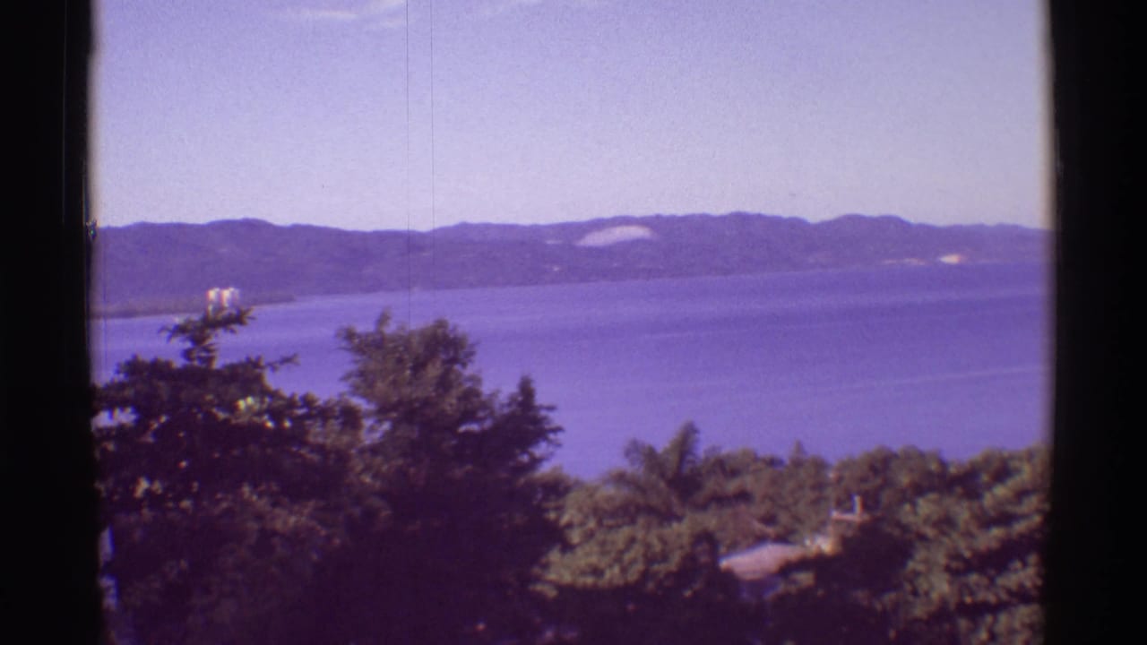 Purple-tinted ocean view with distant hills and trees in the foreground.