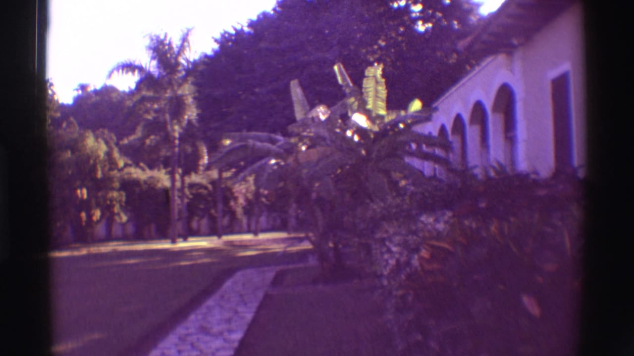 1971 Hawaii home-movie frame showing a sunlit garden path, palm foliage and a white arched building at the side.